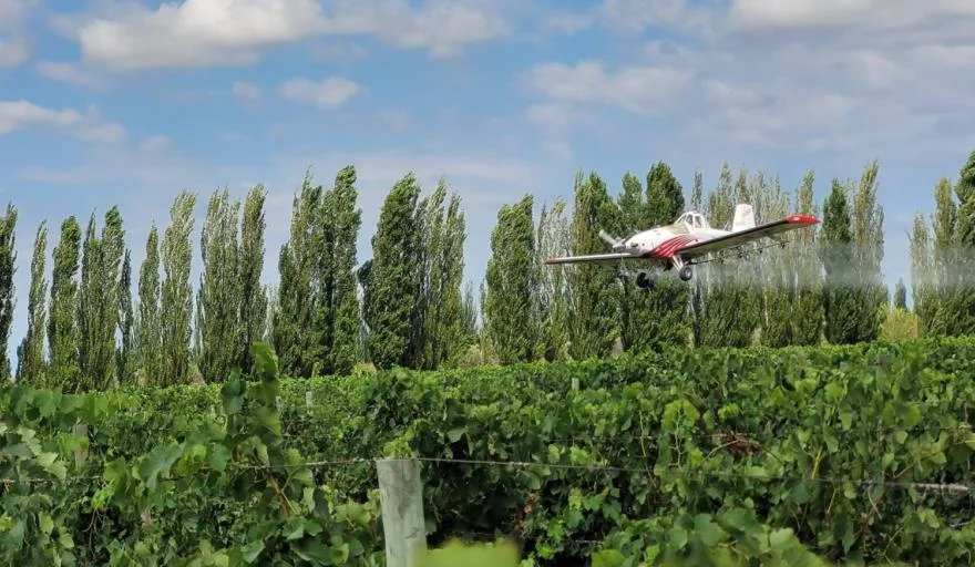 Francia apuesta por Mendoza: una empresa fitosanitaria proyecta invertir más de U$S10 millones